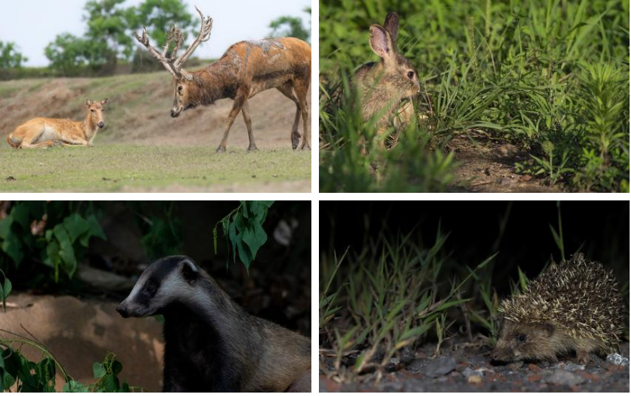 QQ图片20251105114749